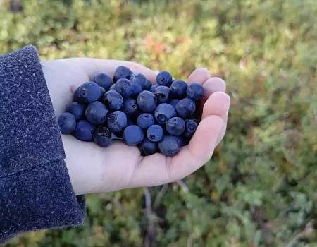 Кемь, Карелия. Выход в мир снов.Фото 2