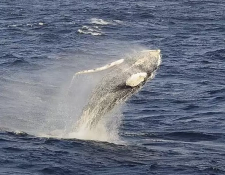 Три с половиной месяца на краю света: Антарктида.Фото 3