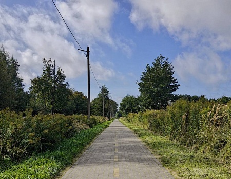 На велосипеде от Светлогорска до смотровой площадки Филинской бухты.Фото 1