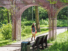 По Ромашковскому лесу к Малевичу