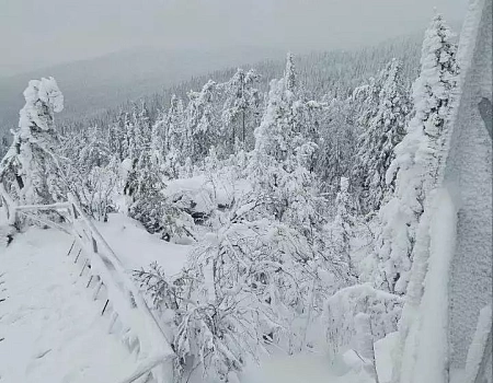 Зимнее посвящение: как друг из Крыма впервые увидел Урал.Фото 0