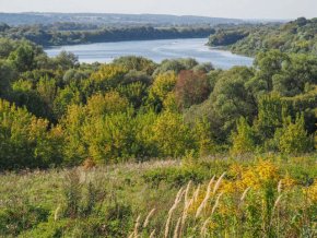 По экотропе Пущино