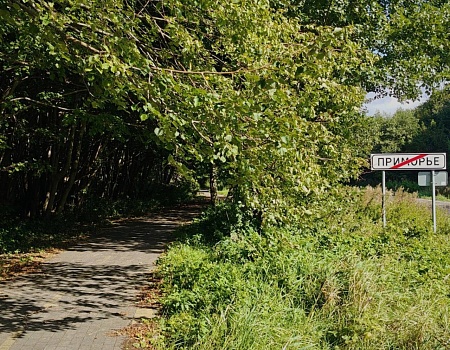 На велосипеде от Светлогорска до смотровой площадки Филинской бухты.Фото 5