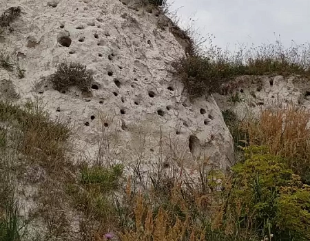 Вейделевка. Конкурс. Место силы. .Фото 4