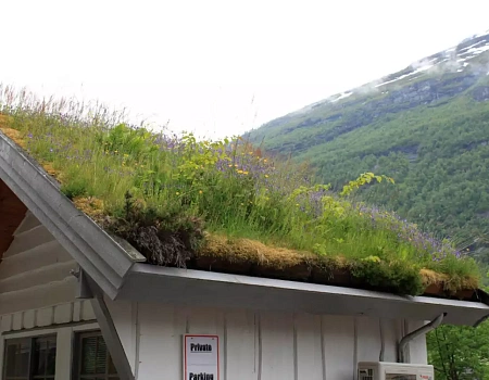 Красота Скандинавии и ее миф о русалках.Фото 4