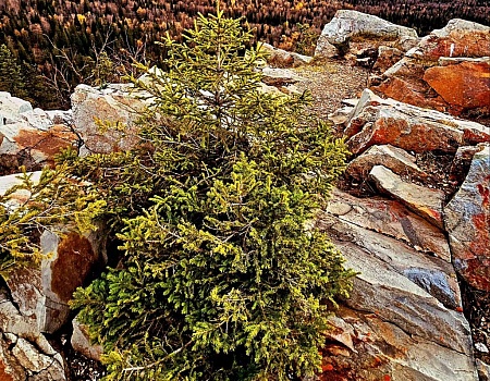 Зюраткуль - 7 удивительных фактов. Обязательно к посещению!.Фото 3