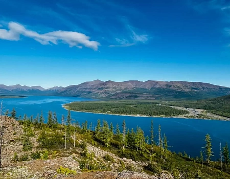 Рыбно-медвежий тур: три встречи с хозяином леса за сутки. Плато Путорана день 6.Фото 6