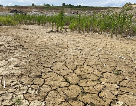 Дзен Тур - традиционный детский поход 2025!.Фото 6