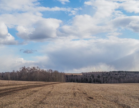 Александрова дорога Тропа.Фото 4