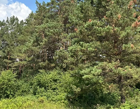 Тайна города у реки | конкурс ДзенТур | ММУ.Фото 1