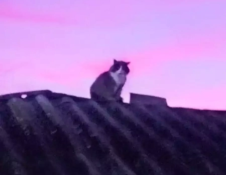 Волшебные рассветы ялтинской осени.Фото 3