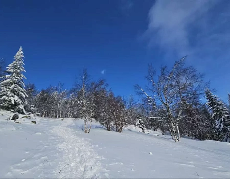 Двуглавая сопка: преодолеть 752 ступени к сердцу Таганая.Фото 3