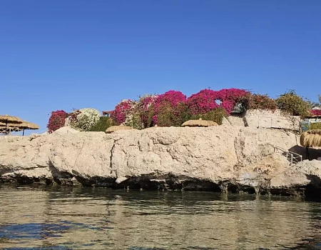 Египет 2026. Часть 2 – Перелёт и первые деньки.Фото 6