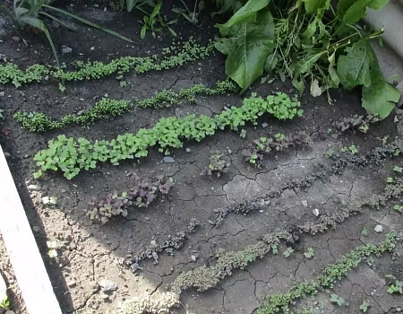 БЕЛГОРОД - Город, в котором чувствуешь вайб | конкурс ДзенТур.Фото 6