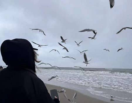 СВЕТЛОГОРСК – немецкая сказка в Калининграде | конкурс ДзенТур | РГГУ.Фото 2