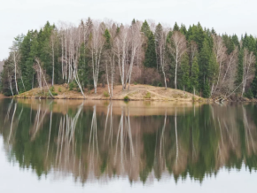По Черниговскому лесу и берегам Торгоши