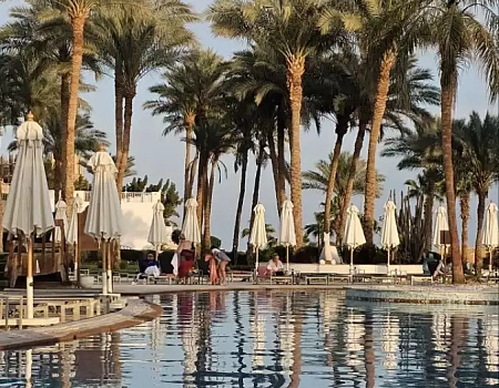 Египет 2026. Часть 2 – Перелёт и первые деньки.Фото 4