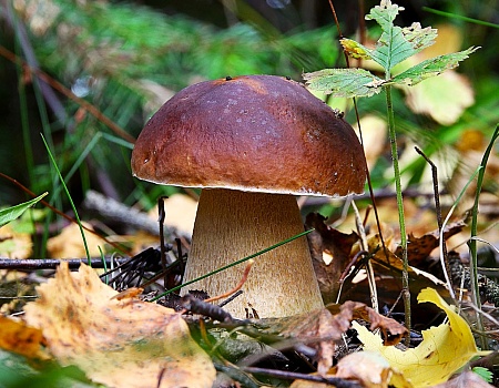 Сплав на рафте по реке Косьва Пермский край.Фото 1