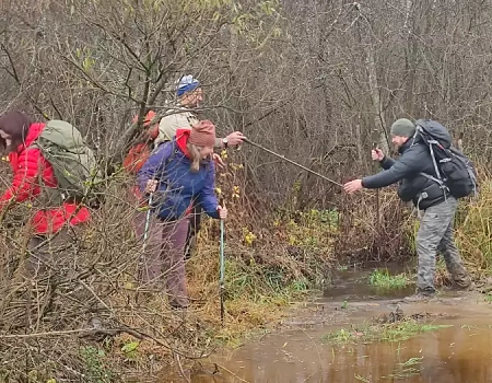 Лужи, грязь, охотники и легенды Боровского тракта..Фото 4