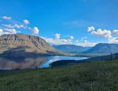 Рыбно-медвежий тур: три встречи с хозяином леса за сутки. Плато Путорана день 6.Фото 1