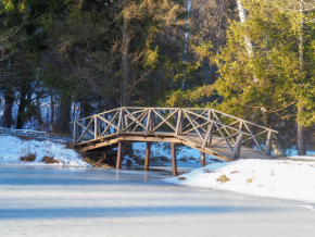 Из Мураново в Абрамцево
