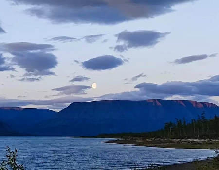 Ночная схватка с медведем: когда Араксис кричит "Вон!".Фото 6