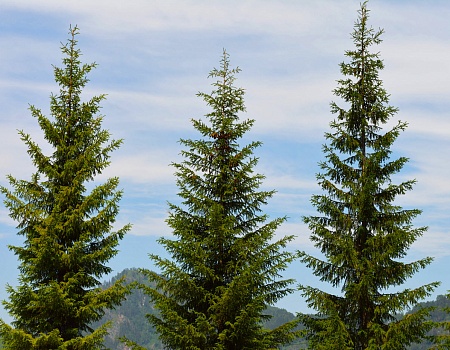 Сплав на рафте по реке Косьва Пермский край.Фото 2