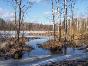 Радонежское кольцо