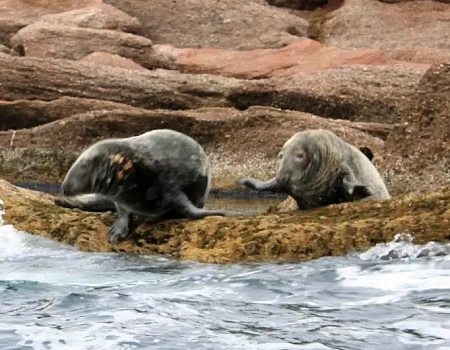 Красота Скандинавии и ее миф о русалках.Фото 2