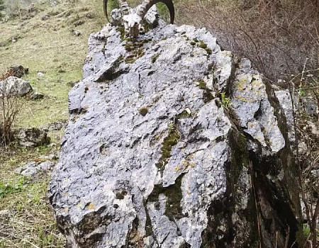 Танго на Кольсальских озёрах. Трек к озеру Кольсай 2..Фото 5