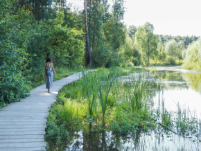 По Мещерскому парку в Переделкино
