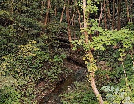 На велосипеде от Светлогорска до смотровой площадки Филинской бухты.Фото 3