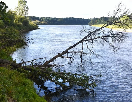 Водный поход на рафте по р. Ветлуга.Фото 5