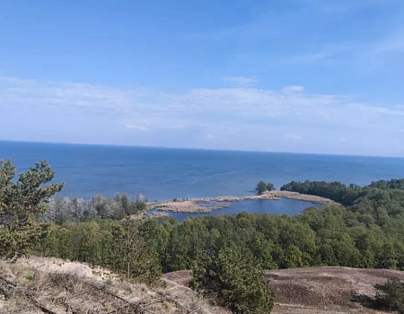 Танцующий лес Куршской косы: балет сосен и ветров.Фото 0