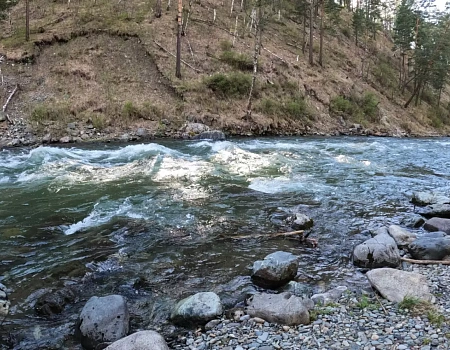 Туда, где цветёт маральник.Фото 0