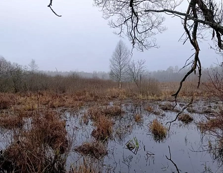Лужи, грязь, охотники и легенды Боровского тракта..Фото 1