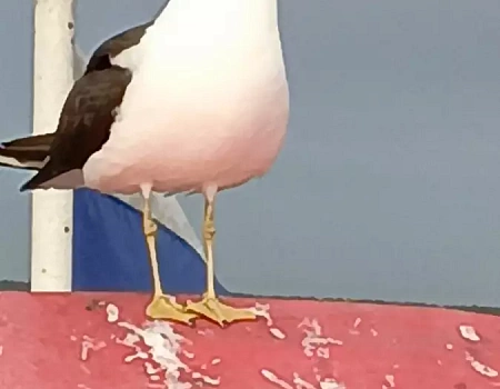 Кемь, Карелия. Выход в мир снов.Фото 1