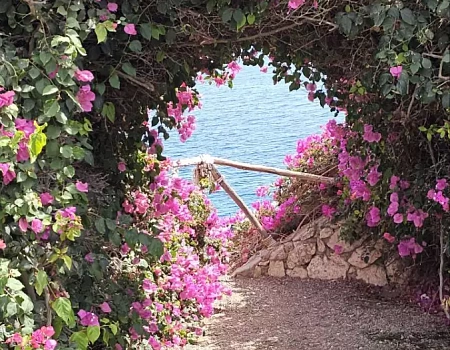 Египет 2026: наша эпопея. Часть 1 – Подготовка.Фото 2