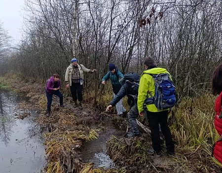 Лужи, грязь, охотники и легенды Боровского тракта..Фото 2