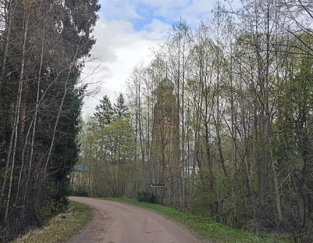 Между болот и сосен: собор Архангела Михаила.Фото 0