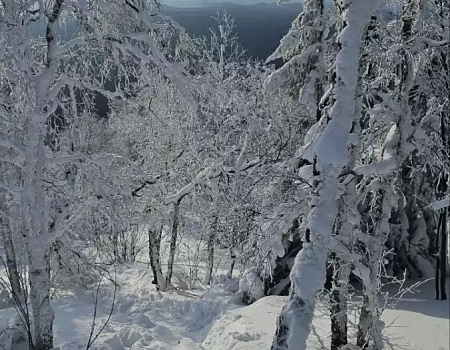 Двуглавая сопка: преодолеть 752 ступени к сердцу Таганая.Фото 8
