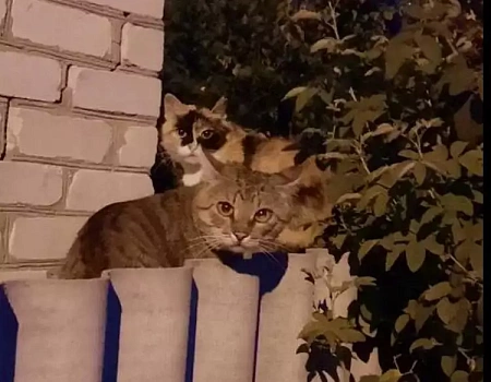 БЕЛГОРОД - Город, в котором чувствуешь вайб | конкурс ДзенТур.Фото 7