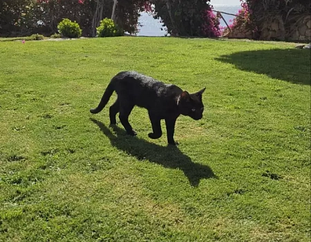 Египет 2026: наша эпопея. Часть 1 – Подготовка.Фото 1