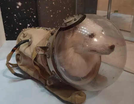 Музей современной истории России.Фото 5