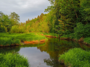 К лесным озерам Зеленограда
