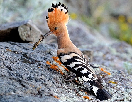 Сплав на рафте по реке Косьва Пермский край.Фото 6