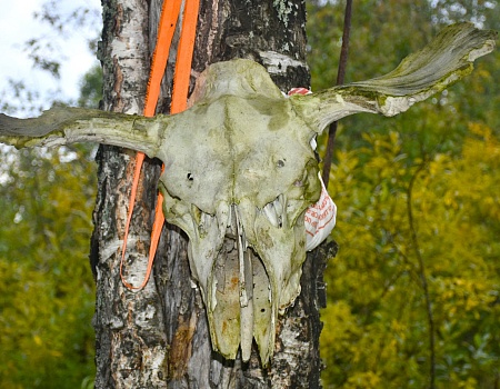 Сплав на рафте по реке Косьва Пермский край.Фото 3