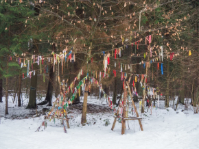 К Цернскому озеру