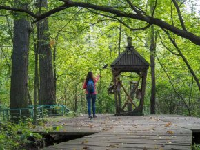 По Лосиному острову на Биостанцию