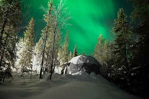 Проживание 5